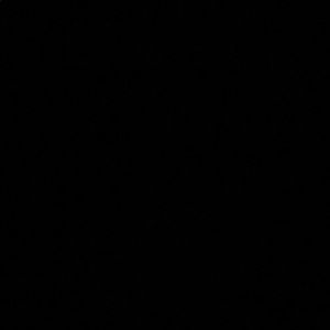 Meet your Posher, Joy